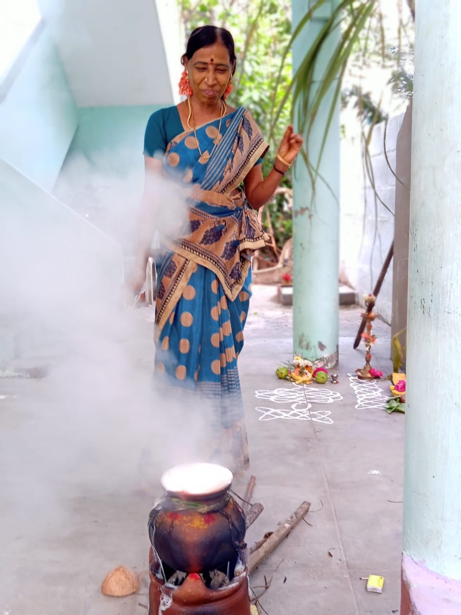 পোঙ্গল: তামিলনাড়ুর পবিত্র ফসল কৃতজ্ঞতা উৎসব